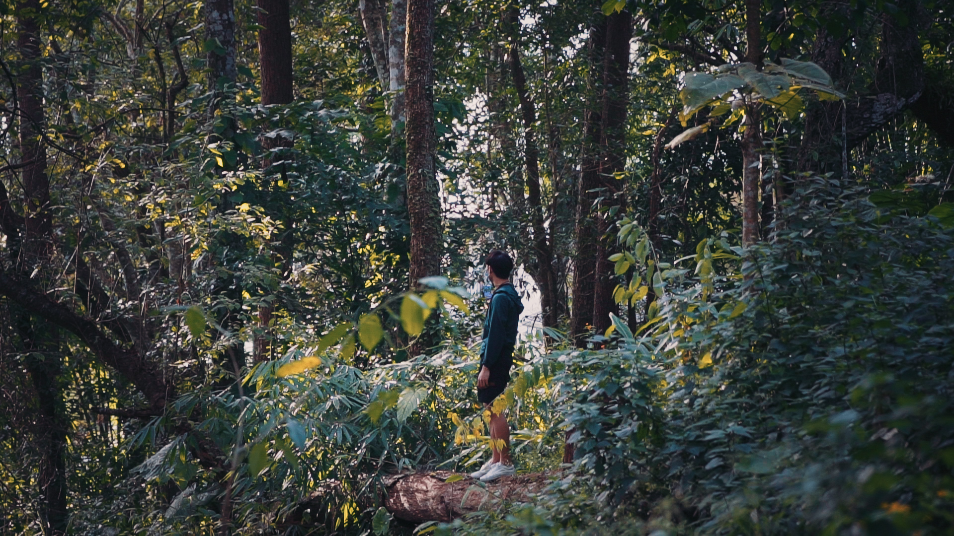 Doi Suthep, Chiang Mai