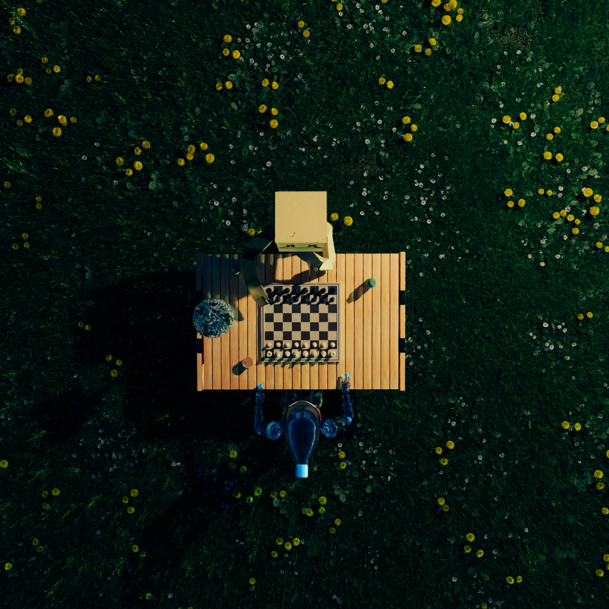 chess4